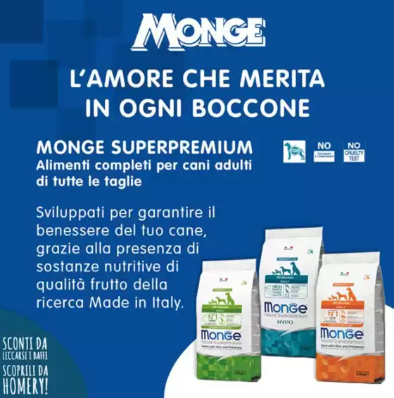 Offerte di luglio