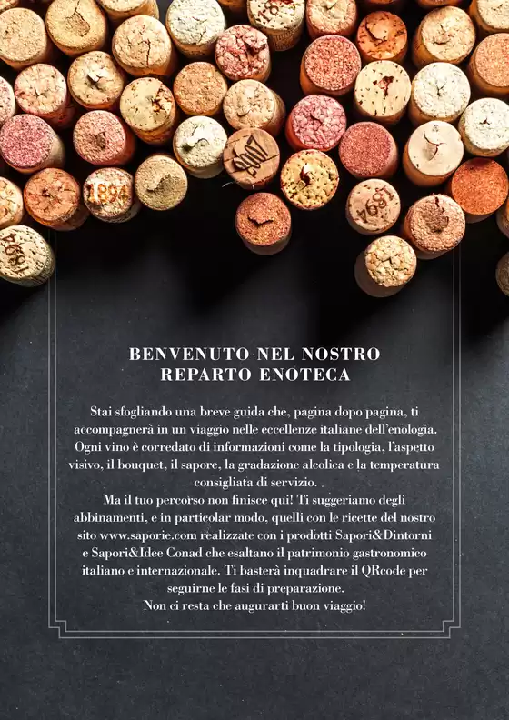 Alla scoperta del Vino e dei suoi territori