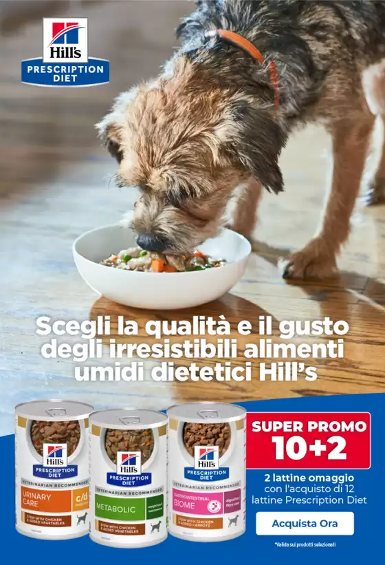 Promo speciale
