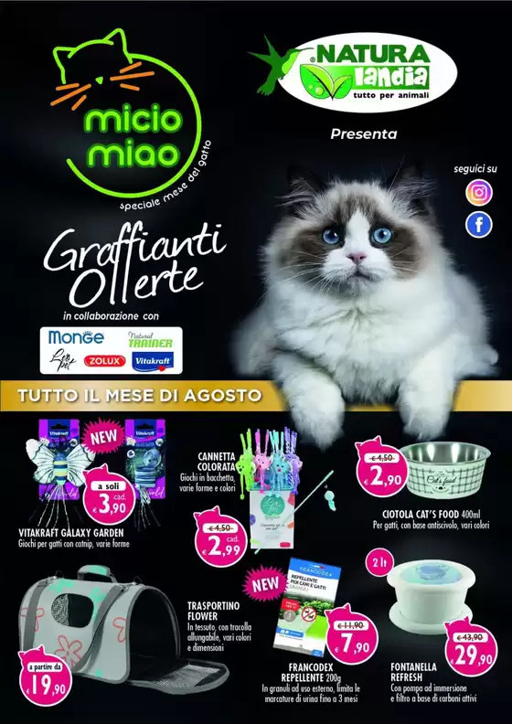 Tutto il mese di agosto