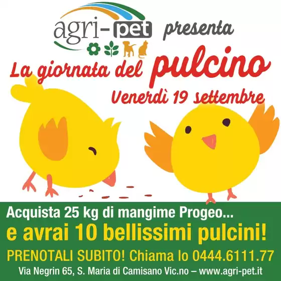La giornata del pulcino 