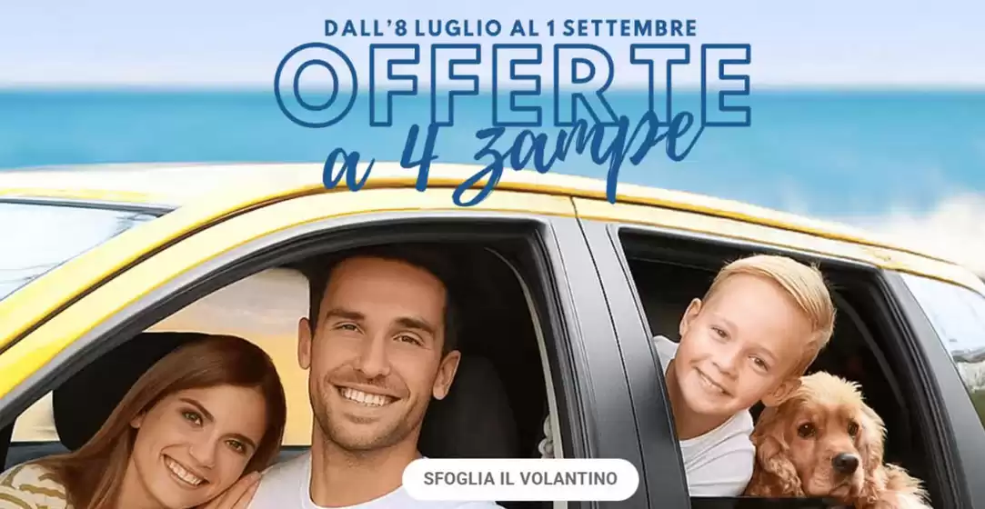 Dall'8 luglio al 1 settembre