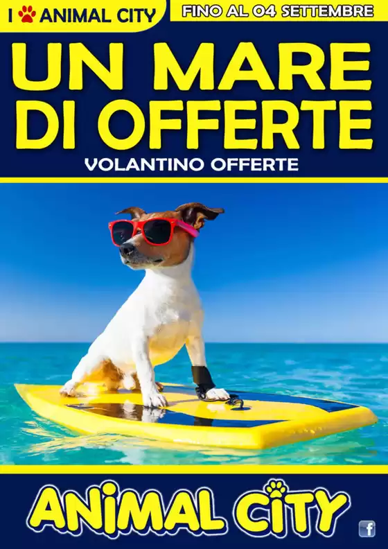Un mare di offerte 