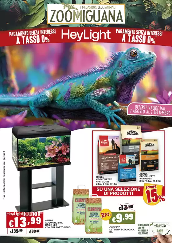 Volantino Zoomiguana
