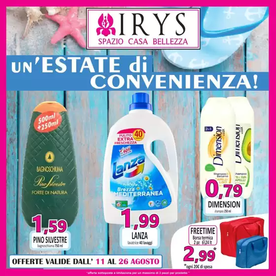 Un' estate di convenienza