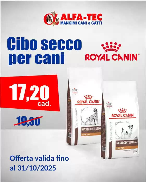 Offerte esclusive e affari