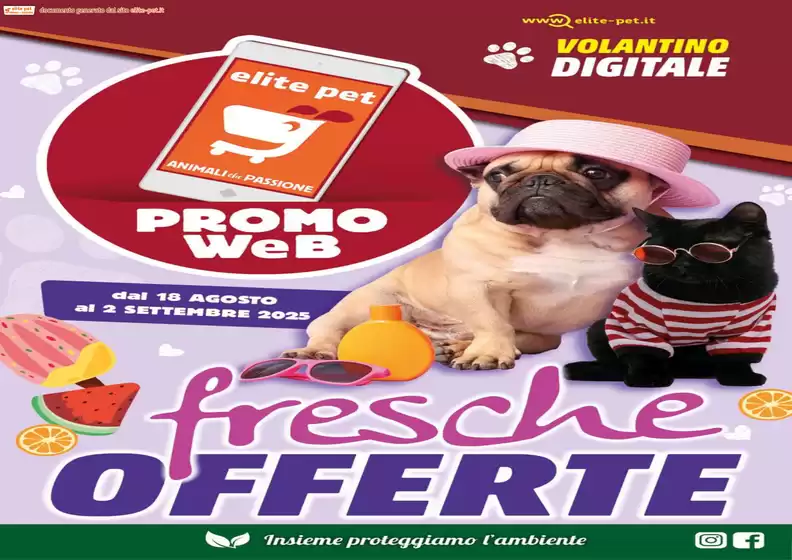 Fresche offerte
