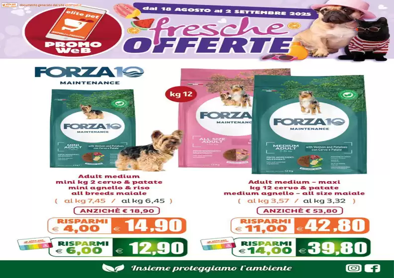 Fresche offerte