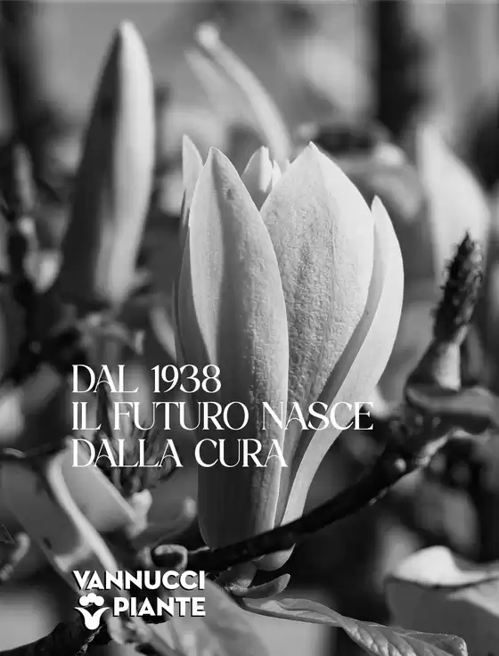 Dal 1938 il futuro nasce dalla cura
