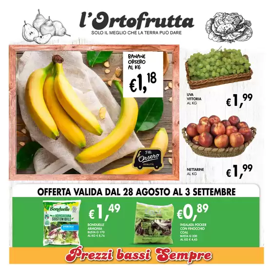 Eccomi Plus
