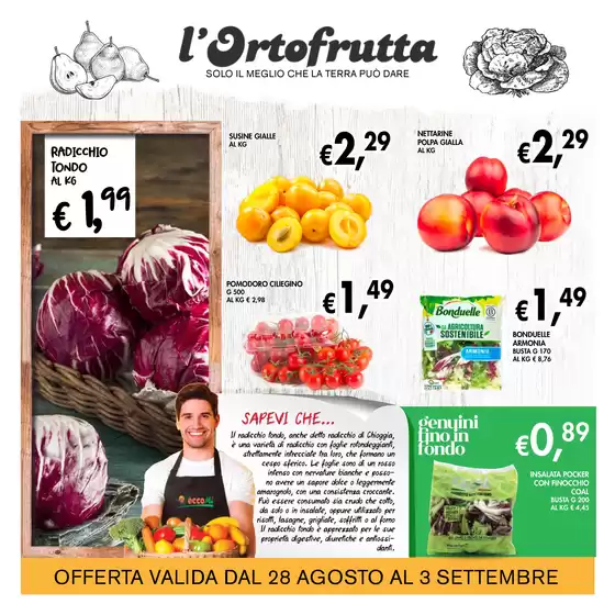 Eccomi Plus!