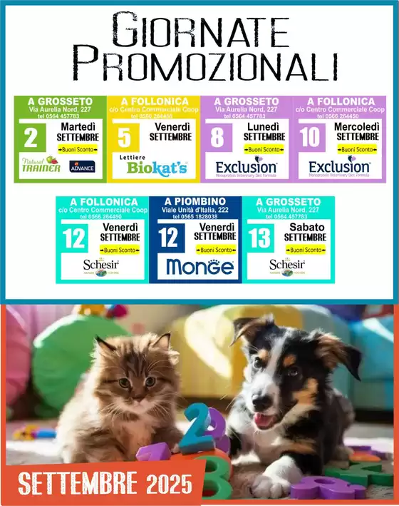Volantino Alfa Tec a Formello | Giornate Promozionali | 2025-09-02T00:00:00.000Z - 2025-09-13T00:00:00.000Z