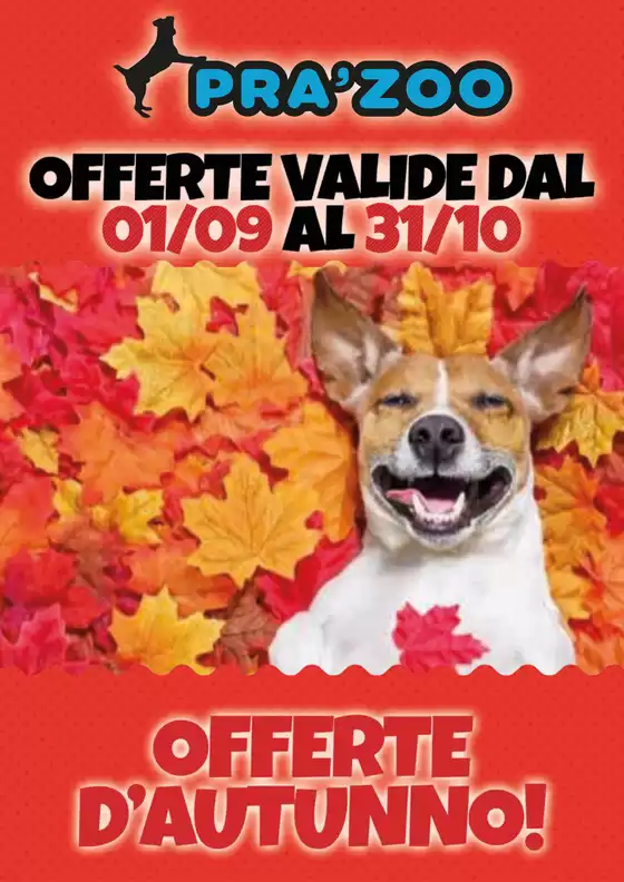 Volantino Pra'Zoo a Napoli | Offerte D'autunno! | 2025-09-01T00:00:00.000Z - 2025-10-31T00:00:00.000Z
