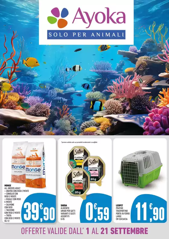 Volantino Ayoka | Offerte valide dall' 1 al 21 settembre | 2025-09-02T00:00:00.000Z - 2025-09-21T00:00:00.000Z