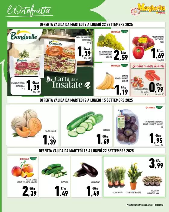 Campioni del risparmio 