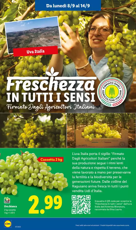 Offerte LIDL