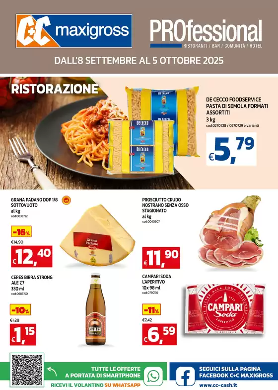 Professional ristoranti, bar, comunità, hotel
