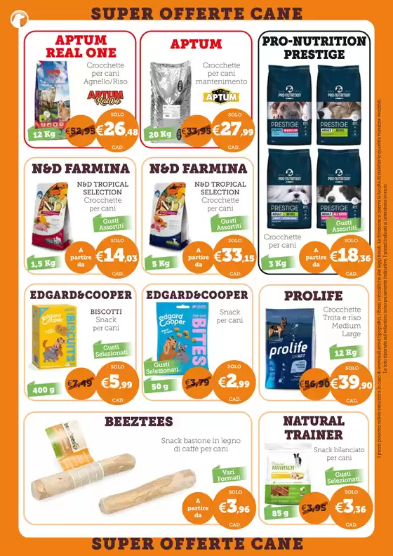 Le nostre migliori offerte per te