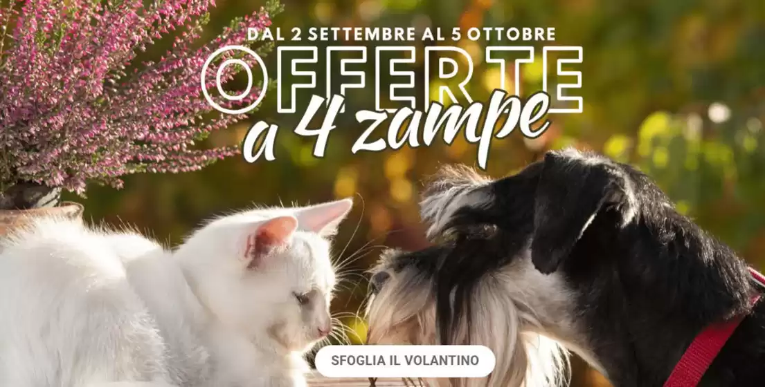 Offerte a 4 zampe