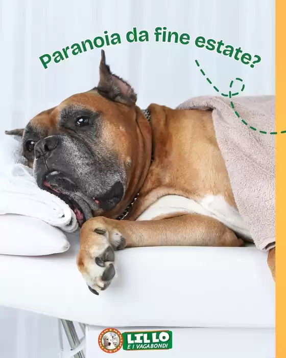 Volantino Lillo e i Vagabondi | Paranoia da fine estate? | 2025-09-08T00:00:00.000Z - 2025-09-27T00:00:00.000Z