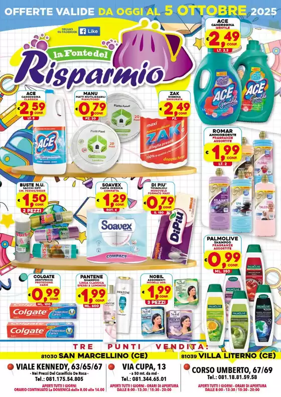 La fonte del Risparmio