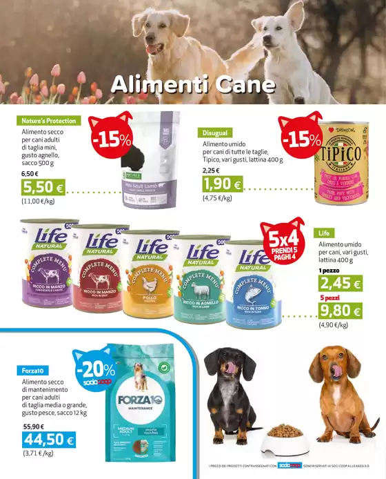 Interessanti offerte!