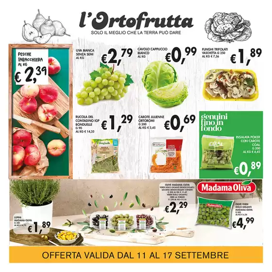 Eccomi Plus!