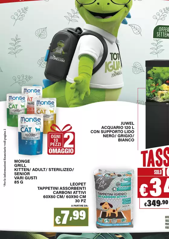 Tassso 0%