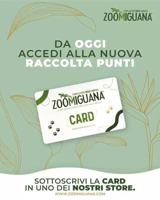 Offerte esclusive e affari