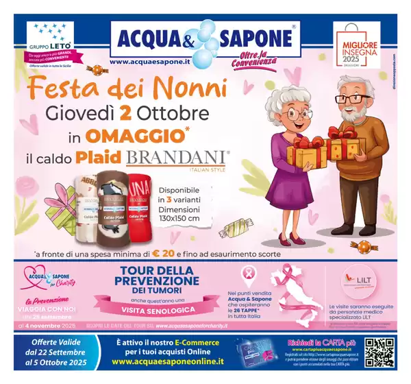 Festa dei nonni
