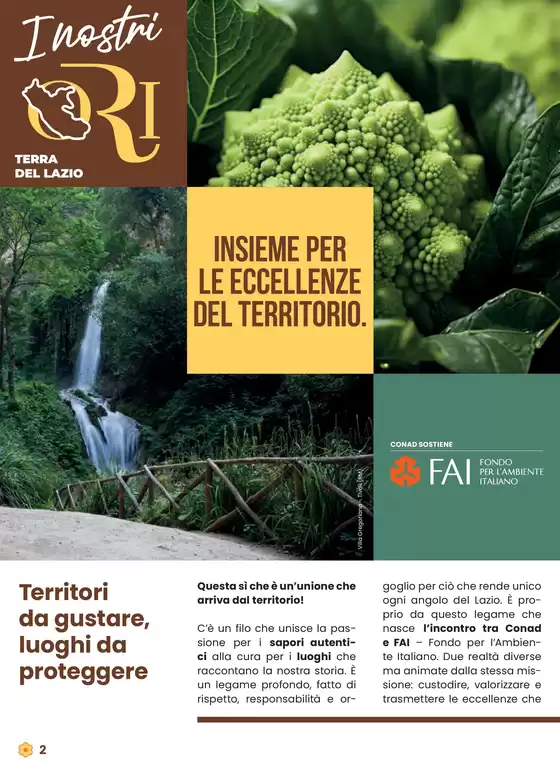 Questo si che e lazio