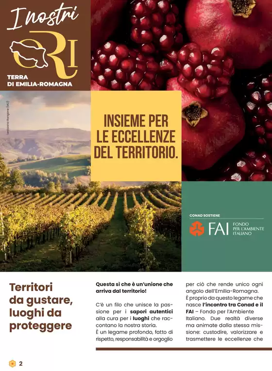 Questa si che e Emilia Romagna