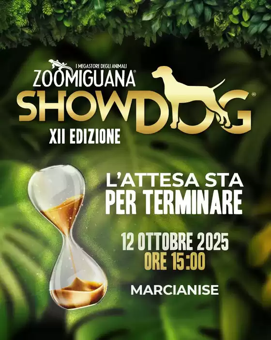Volantino Zoomiguana a Palermo | Offerte speciali attraenti per tutti | 2025-10-12T00:00:00.000Z - 2025-10-12T00:00:00.000Z
