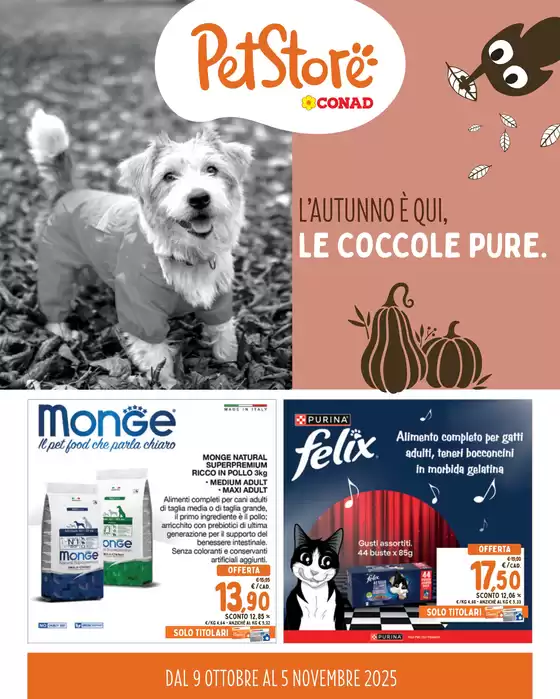 L'autunno e qui, le coccole pure.