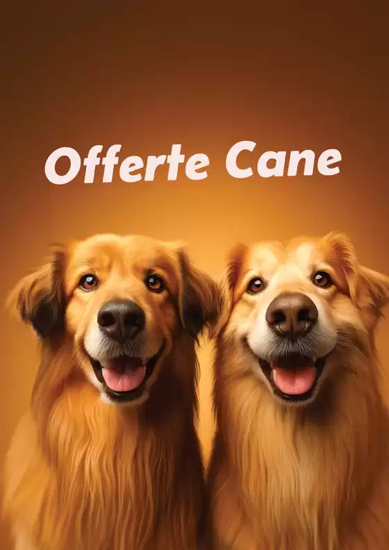 Offerte di ottobre