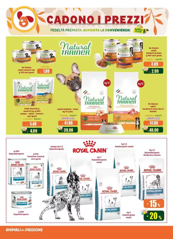 Offerte da cogliere!