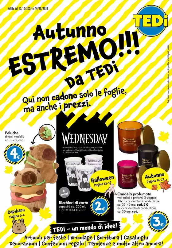 Volantino Tedi a Giussano | Autunno Estremo | 2025-10-09T00:00:00.000Z - 2025-10-18T00:00:00.000Z