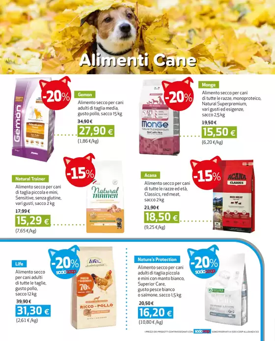 Sfoglia le offerte