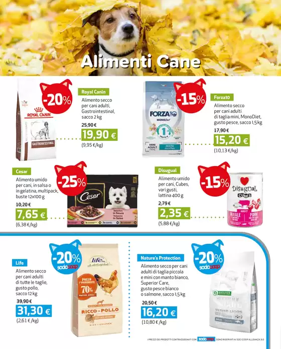Sfoglia le offerte