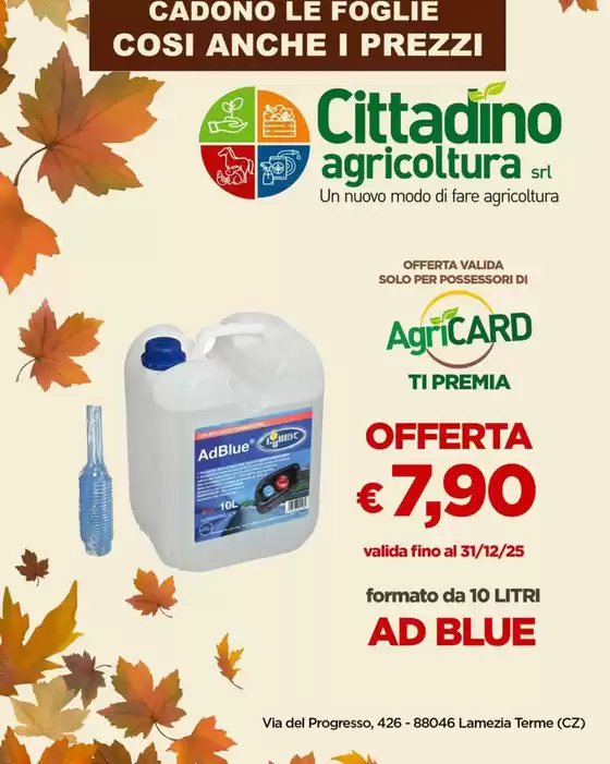 Volantino Cittadino Agricoltura | Cadono le foglie cosi anche i prezzi | 2025-10-16T00:00:00.000Z - 2025-12-31T00:00:00.000Z