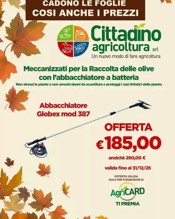 Cadono le foglie cosi anche i prezzi