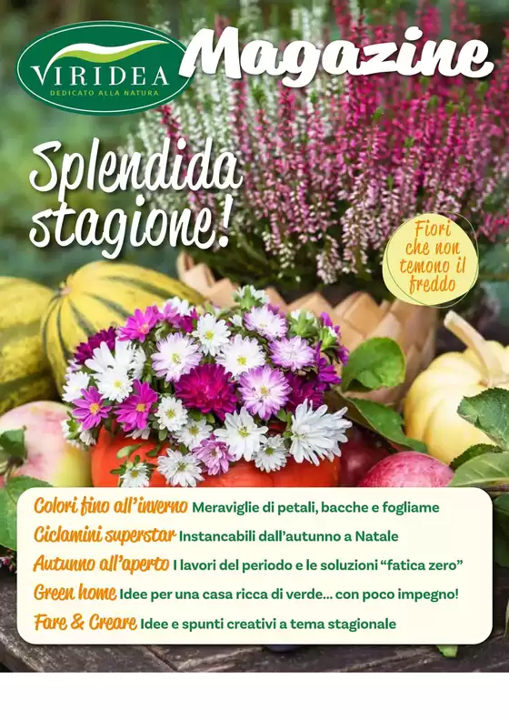 Volantino Viridea a Casarano | Splendida stagione! | 2025-10-17T00:00:00.000Z - 2025-12-22T00:00:00.000Z