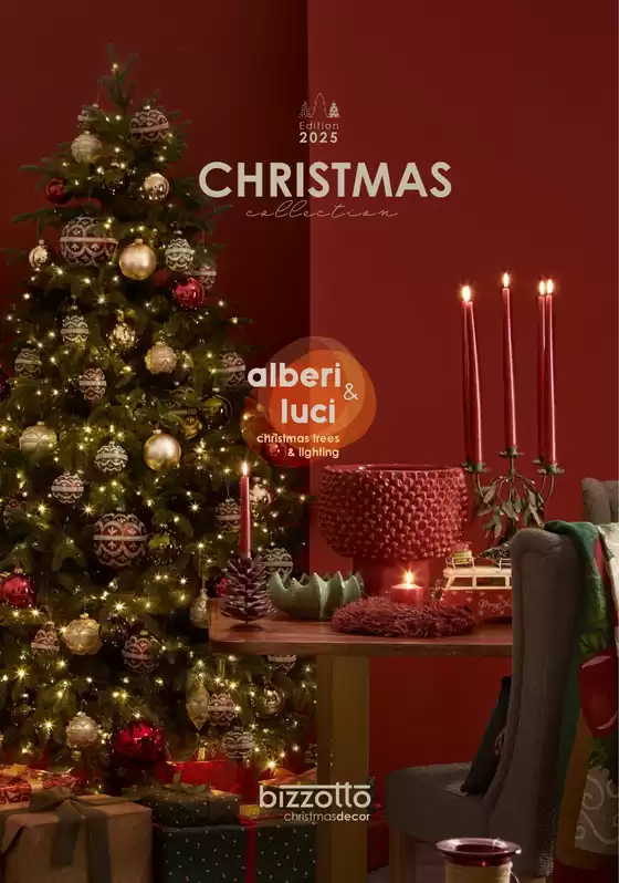 Volantino Bizzotto a Lusciano | Christmas | 2025-10-20T00:00:00.000Z - 2025-12-31T00:00:00.000Z