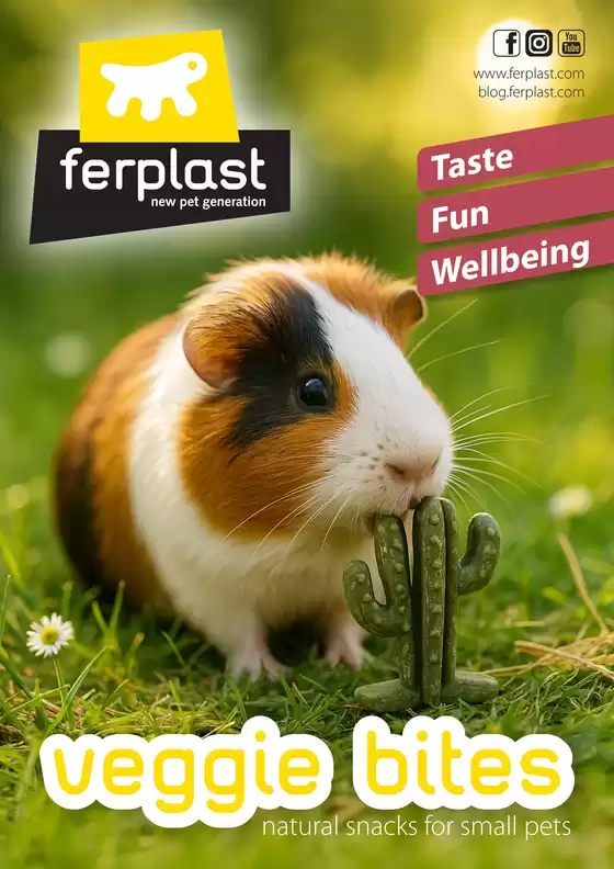 Volantino Ferplast a Terni | Taste Fun Wellbeing | 2025-10-21T00:00:00.000Z - 2025-12-31T00:00:00.000Z