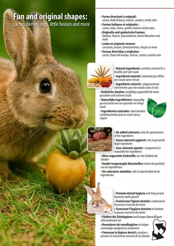 Taste Fun Wellbeing
