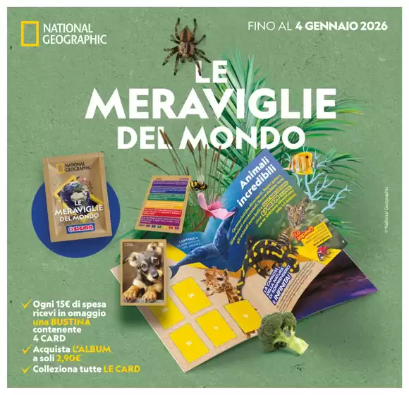 SEMPRE CONVENIENTI Stagione dopo stagione, Sigma
