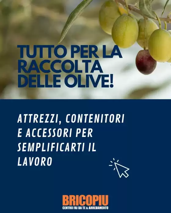 Volantino BricoPiù | Tutto per la raccolta delle olive! | 2025-10-24T00:00:00.000Z - 2025-11-03T00:00:00.000Z