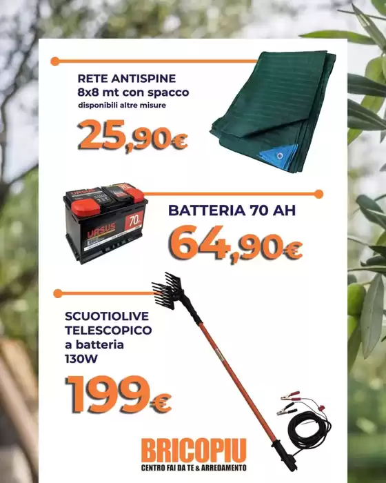 Tutto per la raccolta delle olive!