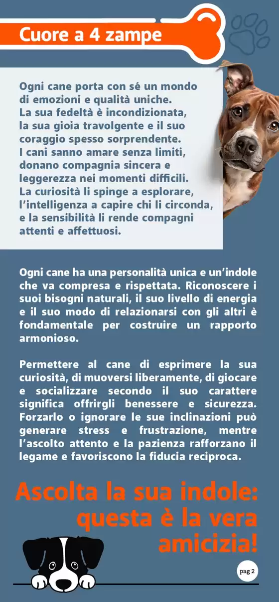 dal 24 ottobre al 9 novembre 2025