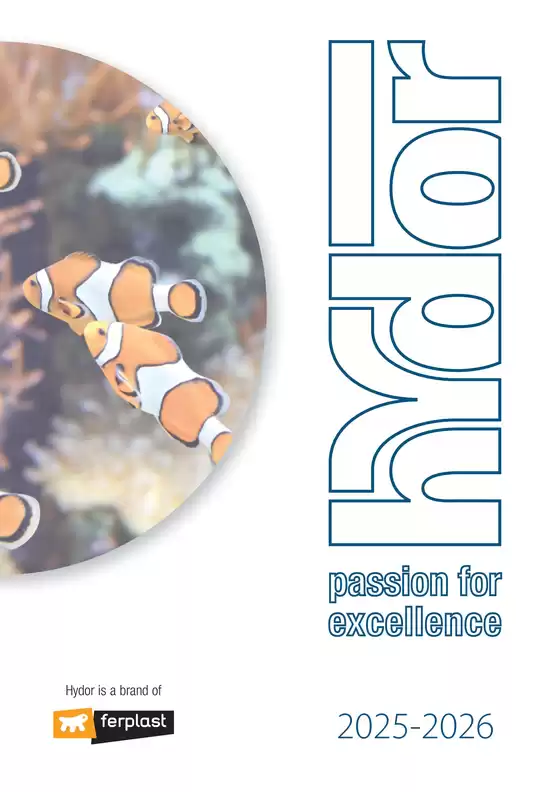 Nuove offerte da scoprire